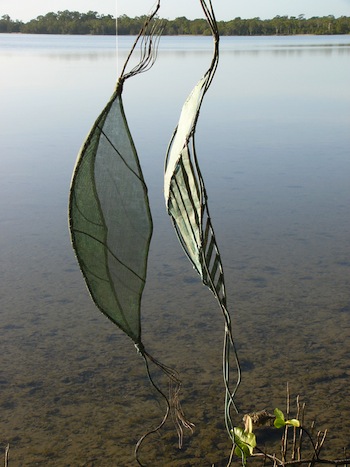 Verdigris Pods.